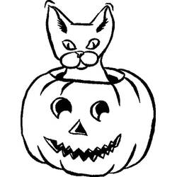 Malvorlage Halloween Katze schaut aus einem Kürbis