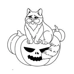 Malvorlage Halloween Katze sitzt auf einem geschnitzten Kürbis