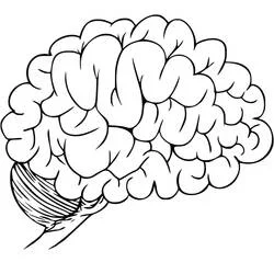 Human Brain Ausmalbild #185390 zum Ausdrucken und Ausmalen