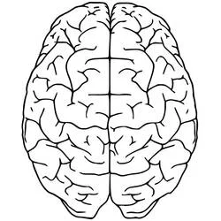 Human Brain Ausmalbild #185400 zum Ausdrucken und Ausmalen