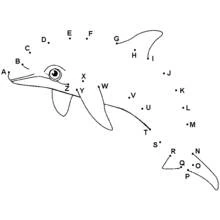 Malvorlage Delfin springt fröhlich