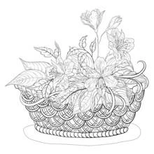 Malvorlage Blumenkorb mit geflochtenem Muster