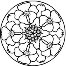 Malvorlage Mandala mit Blütenblättern im Kreis