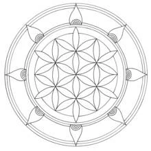 Malvorlage Mandala mit Blume-des-Lebens-Muster