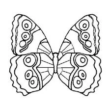 Malvorlage Schmetterling mit symmetrischen Augenflecken