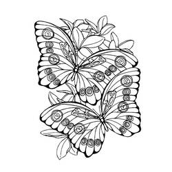 Malvorlage Schmetterling auf Blumen mit einem zweiten Schmetterling