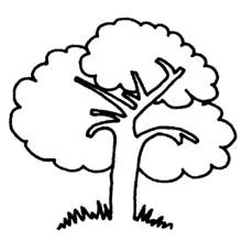Malvorlage Baum mit runder Baumkrone