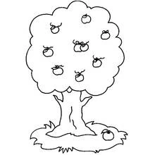 Malvorlage Obstbaum voller Äpfel