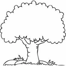 Malvorlage Baum mit runder Baumkrone
