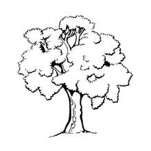 Malvorlage Baum mit üppiger Blätterkrone