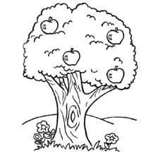 Malvorlage Apfelbaum mit fünf Äpfeln und Blumen