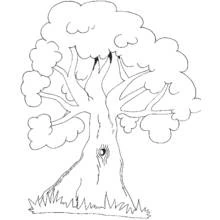 Malvorlage Baum mit breiter runder Krone