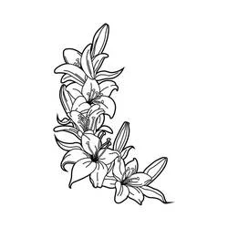 Malvorlage Lilienzweig mit blühenden Blüten