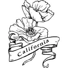 Malvorlage Mohn mit California-Banner