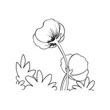 Malvorlage Mohn zwischen Blättern
