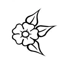Malvorlage Mohnblume mit Blättern