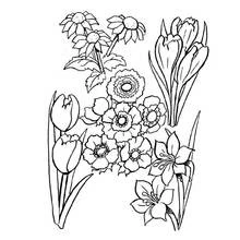 Malvorlage Strauß verschiedener Frühlingsblumen