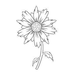 Sonnenblume Ausmalbild #171024 zum Ausdrucken und Ausmalen