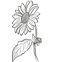 Sonnenblume Ausmalbild #171026 zum Ausdrucken und Ausmalen