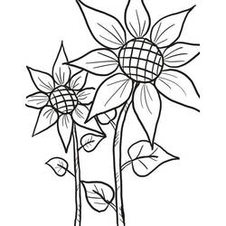 Sonnenblume Ausmalbild #171028 zum Ausdrucken und Ausmalen