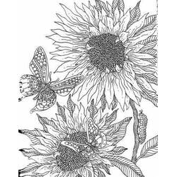Sonnenblume Ausmalbild #171031 zum Ausdrucken und Ausmalen