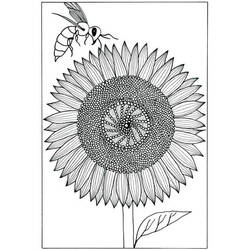 Sonnenblume Ausmalbild #171035 zum Ausdrucken und Ausmalen