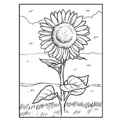 Sonnenblume Ausmalbild #171037 zum Ausdrucken und Ausmalen