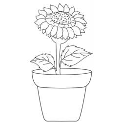 Sonnenblume Ausmalbild #171038 zum Ausdrucken und Ausmalen