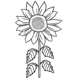 Sonnenblume Ausmalbild #171039 zum Ausdrucken und Ausmalen
