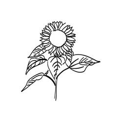 Sonnenblume Ausmalbild #171040 zum Ausdrucken und Ausmalen