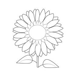 Sonnenblume Ausmalbild #171045 zum Ausdrucken und Ausmalen