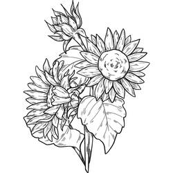 Sonnenblume Ausmalbild #171049 zum Ausdrucken und Ausmalen