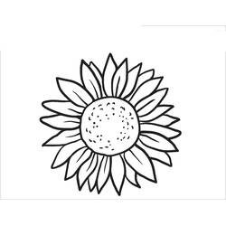 Sonnenblume Ausmalbild #171052 zum Ausdrucken und Ausmalen