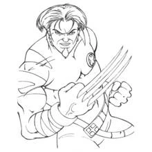 Malvorlage Wolverine zeigt seine Krallen