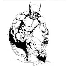 Malvorlage Wolverine geduckt mit ausgefahrenen Krallen