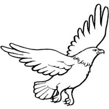 Adler - Kostenlose Ausmalbilder zum Ausdrucken