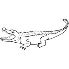Alligator - Kostenlose Ausmalbilder zum Ausdrucken
