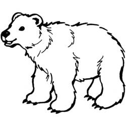 Malvorlage Bär beim Gehen