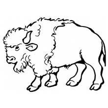 Bison - Kostenlose Ausmalbilder zum Ausdrucken