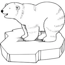 Malvorlage Eisbär steht auf einer Eisscholle