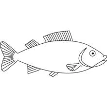 Malvorlage Fisch schwimmt mit offenem Maul