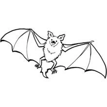 Fledermaus - Kostenlose Ausmalbilder zum Ausdrucken