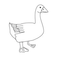 Gans - Kostenlose Ausmalbilder zum Ausdrucken