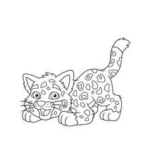 Malvorlage Gepard-Baby beim Spielen Malvorlage Gepard-Baby beim Spielen