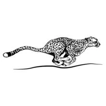Malvorlage Gepard rennt in voller Geschwindigkeit Malvorlage Gepard rennt in voller Geschwindigkeit