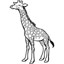 Giraffe - Kostenlose Ausmalbilder zum Ausdrucken
