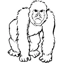 Malvorlage Gorilla auf allen vieren stehend