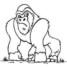 Malvorlage Gorilla auf allen vieren stehend