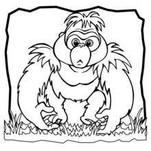 Malvorlage Gorilla sitzt im Gras