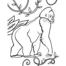 Malvorlage Gorilla läuft durch den Dschungel